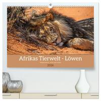 Afrikas Tierwelt - Löwen (hochwertiger Premium Wandkalender 2026 DIN A2 quer), Kunstdruck in Hochglanz