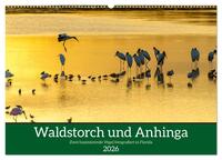 Waldstorch und Anhinga (Wandkalender 2026 DIN A2 quer), CALVENDO Monatskalender