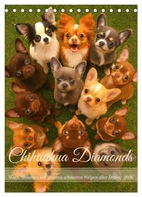 Chihuahua Diamonds – Magic Moments mit unseren schönsten Welpen aller Zeiten (Tischkalender 2026 DIN A5 hoch), CALVENDO Monatskalender