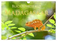 Blickpunkte auf Madagaskar (Wandkalender 2027 DIN A4 quer), CALVENDO Monatskalender
