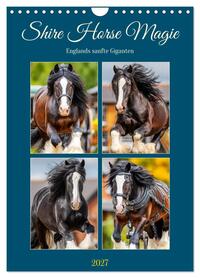 Shire Horse Magie. Englands sanfte Giganten (Wandkalender 2027 DIN A4 hoch), CALVENDO Monatskalender