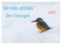 Alcedo atthis. Der Eisvogel (Tischkalender 2027 DIN A5 quer), CALVENDO Monatskalender
