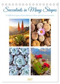 Succulents in Many Shapes (Desk Calendar 2027 DIN A5 portrait), CALVENDO 12 Month DeskCalendar