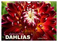 Fascinating Dahlias (Wall Calendar 2027 DIN A4 landscape), CALVENDO 12 Month Wall Calendar