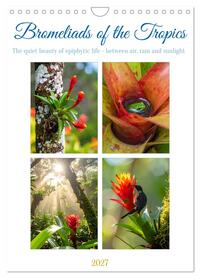 Bromeliads of the Tropics (Wall Calendar 2027 DIN A4 portrait), CALVENDO 12 Month Wall Calendar