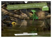 Costa Rica – Tierparadies im Regenwald (Wandkalender 2027 DIN A4 quer), CALVENDO Monatskalender