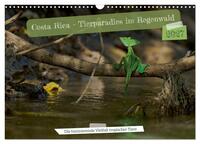Costa Rica – Tierparadies im Regenwald (Wandkalender 2027 DIN A3 quer), CALVENDO Monatskalender