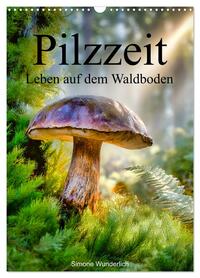 Pilzzeit - Leben auf dem Waldboden (Wandkalender 2027 DIN A3 hoch), CALVENDO Monatskalender