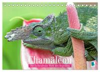 Chamäleon: Die farbenfrohe Welt der Reptilien (Tischkalender 2027 DIN A5 quer), CALVENDO Monatskalender