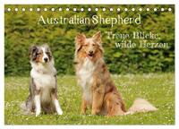 Australian Shepherd - Treue Blicke, wilde Herzen (Tischkalender 2027 DIN A5 quer), CALVENDO Monatskalender