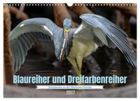 Blaureiher und Dreifarbenreiher (Wandkalender 2027 DIN A3 quer), CALVENDO Monatskalender
