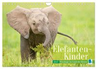Elefanten Kinder: Winzlinge im Land der Riesen (Wandkalender 2027 DIN A4 quer), CALVENDO Monatskalender