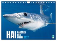 Hai: Raubtier der Meere (Wandkalender 2027 DIN A4 quer), CALVENDO Monatskalender