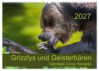 Grizzlys und Geisterbären - Glendale Cove, Kanada (Wandkalender 2027 DIN A2 quer), CALVENDO Monatskalender