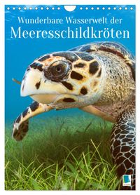 Wunderbare Wasserwelt der Meeresschildkröten (Wandkalender 2027 DIN A4 hoch), CALVENDO Monatskalender