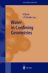 Water in Confining Geometries