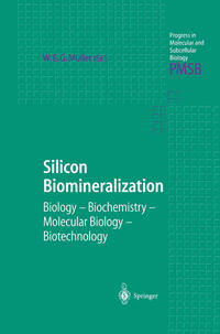 Silicon Biomineralization