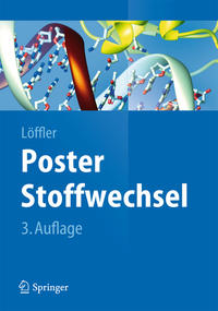 Poster Stoffwechsel