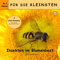 Für die Kleinsten / Insekten im Blumenbeet