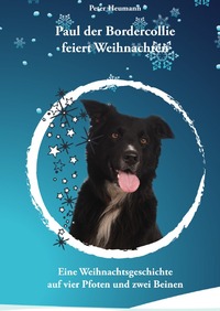 Paul der Bordercollie feiert Weihnachten