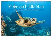 Meeresschildkröten: Aus den blauen Tiefen der Ozeane (Wandkalender 2027 DIN A3 quer), CALVENDO Monatskalender
