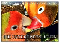 Die Unzertrennlichen (Tischkalender 2027 DIN A5 quer), CALVENDO Monatskalender
