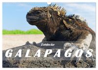 Entdecke Galapagos (Wandkalender 2027 DIN A3 quer), CALVENDO Monatskalender