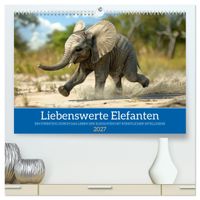 Liebenswerte Elefanten (hochwertiger Premium Wandkalender 2027 DIN A2 quer), Kunstdruck in Hochglanz