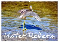 Unter Reihern (Wandkalender 2027 DIN A2 quer), CALVENDO Monatskalender