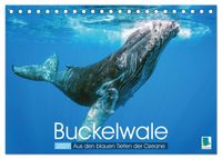 Buckelwale: Aus den blauen Tiefen der Ozeane (Tischkalender 2027 DIN A5 quer), CALVENDO Monatskalender