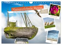 Naturerlebnis Rømø (Wandkalender 2027 DIN A4 quer), CALVENDO Monatskalender