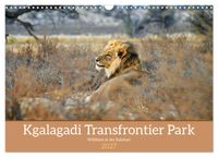 Kgalagadi - Fauna und Wildtiere in der Kalahari (Wandkalender 2027 DIN A3 quer), CALVENDO Monatskalender