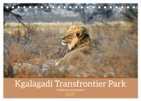 Kgalagadi - Fauna und Wildtiere in der Kalahari (Tischkalender 2027 DIN A5 quer), CALVENDO Monatskalender