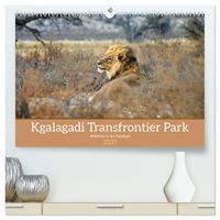 Kgalagadi - Fauna und Wildtiere in der Kalahari (hochwertiger Premium Wandkalender 2027 DIN A2 quer), Kunstdruck in Hochglanz