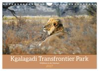 Kgalagadi - Fauna und Wildtiere in der Kalahari (Wandkalender 2027 DIN A4 quer), CALVENDO Monatskalender