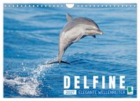 Delfine: Elegante Wellenreiter (Wandkalender 2027 DIN A4 quer), CALVENDO Monatskalender