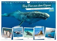 Big Five aus dem Ozean Hai, Delphin, Wal, Robbe, Pinguin (Wandkalender 2027 DIN A4 quer), CALVENDO Monatskalender