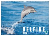 Delfine: Elegante Wellenreiter (Wandkalender 2027 DIN A2 quer), CALVENDO Monatskalender
