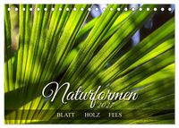 Naturformen, Blatt, Holz, Fels (Tischkalender 2027 DIN A5 quer), CALVENDO Monatskalender