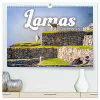 Lamas in Südamerika (hochwertiger Premium Wandkalender 2027 DIN A2 quer), Kunstdruck in Hochglanz