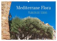 Mediterrane Flora - Pflanzen des Südens (Wandkalender 2027 DIN A2 quer), CALVENDO Monatskalender