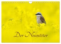 Der Neuntöter (Wandkalender 2027 DIN A4 quer), CALVENDO Monatskalender