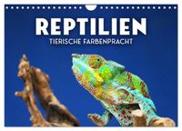 Reptilien - Tierische Farbenpracht (Wandkalender 2027 DIN A4 quer), CALVENDO Monatskalender
