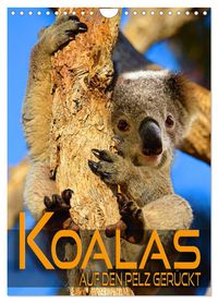 Koalas auf den Pelz gerückt (Wandkalender 2027 DIN A4 hoch), CALVENDO Monatskalender