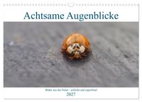 Achtsame Augenblicke (Wandkalender 2027 DIN A3 quer), CALVENDO Monatskalender