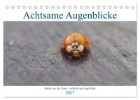 Achtsame Augenblicke (Tischkalender 2027 DIN A5 quer), CALVENDO Monatskalender