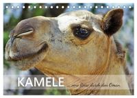 KAMELE... eine Reise durch den Oman. (Tischkalender 2027 DIN A5 quer), CALVENDO Monatskalender