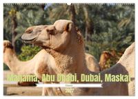 Orient - Manama, Abu Dhabi, Dubai, Maskat (Wandkalender 2027 DIN A2 quer), CALVENDO Monatskalender