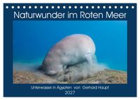 Naturwunder im Roten Meer (Tischkalender 2027 DIN A5 quer), CALVENDO Monatskalender