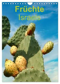 Früchte Israels (Wandkalender 2027 DIN A4 hoch), CALVENDO Monatskalender